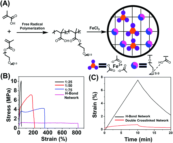 3d-and-4d-printable-dual-cross-linked-polymers-with-high-strength-and