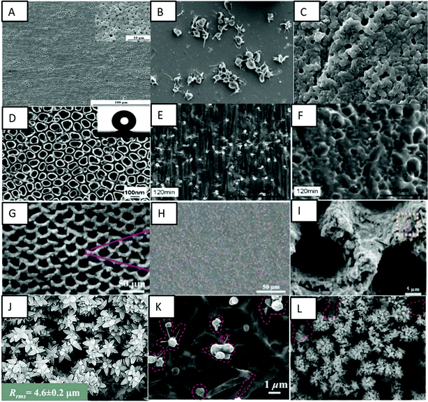 Surface Modification Strategies To Improve Titanium Hemocompatibility ...