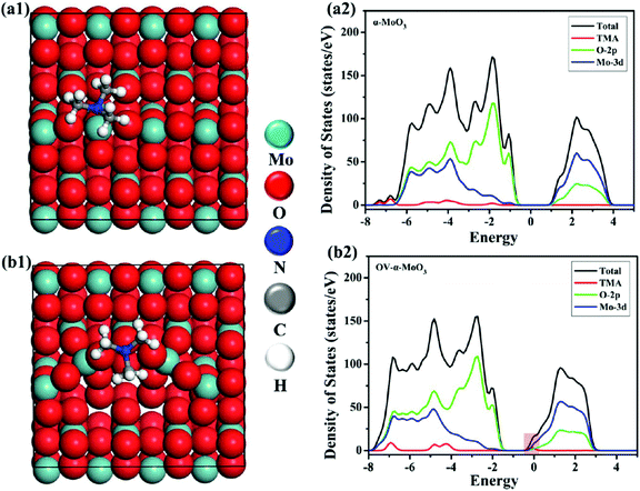 Advances in the designs and mechanisms of MoO 3 nanostructures for gas ...