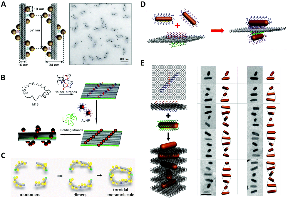 Progress and perspective on chiral plasmonic nanostructures enabled by ...