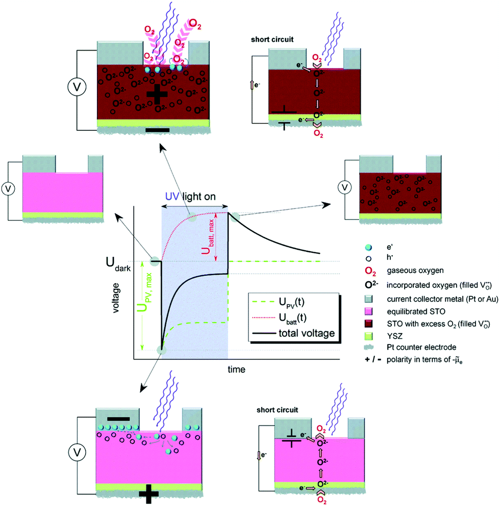 Photoinduced electronic and ionic effects in strontium titanate