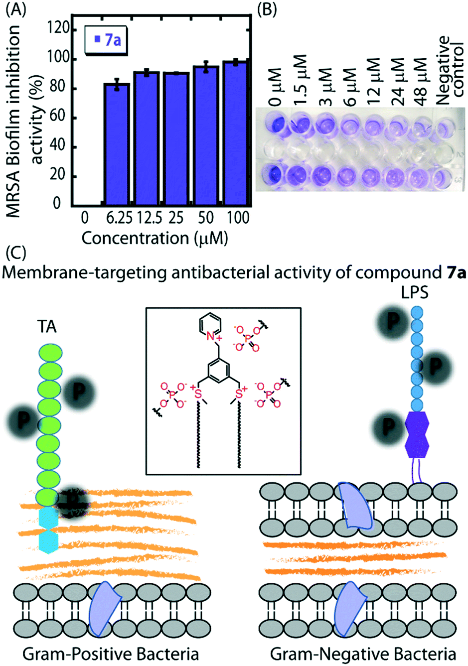 Sulfonium Based Liposome Encapsulated Antibiotics Deliver A Synergistic Antibacterial Activity Rsc Medicinal Chemistry Rsc Publishing