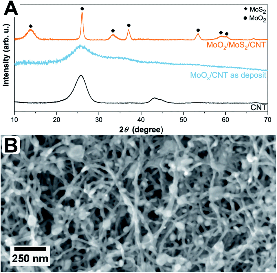 Structural And Chemical Characterization Of Moo2 Mos2 Triple Hybrid Materials Using Electron Microscopy In Up To Three Dimensions Nanoscale Advances Rsc Publishing