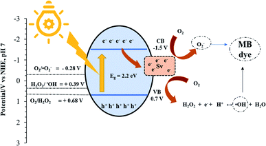 The improved photocatalytic activity of highly expanded MoS 2 under ...