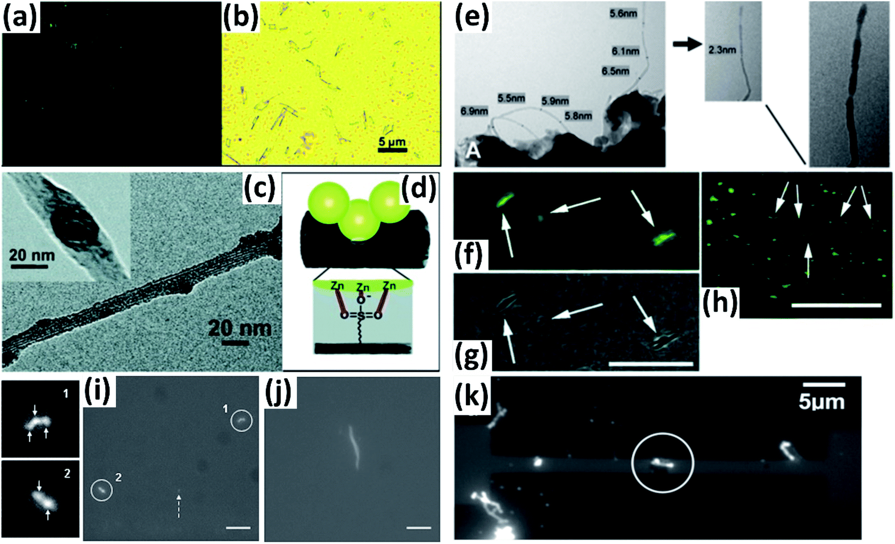 Optical visualization and imaging of nanomaterials - Nanoscale Advances ...