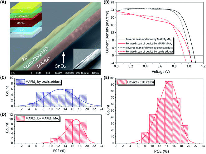 Ambient processed (110) preferred MAPbI 3 thin films for highly ...