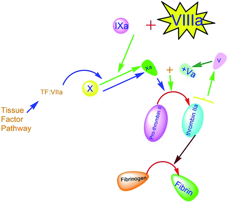 an-overview-on-the-investigation-of-nanomaterials-effect-on-plasma