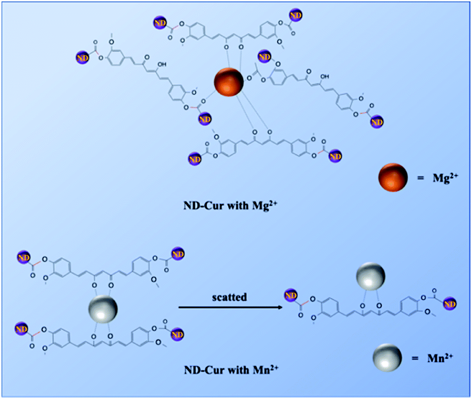 Use of curcumin-modified diamond nanoparticles in cellular imaging and ...