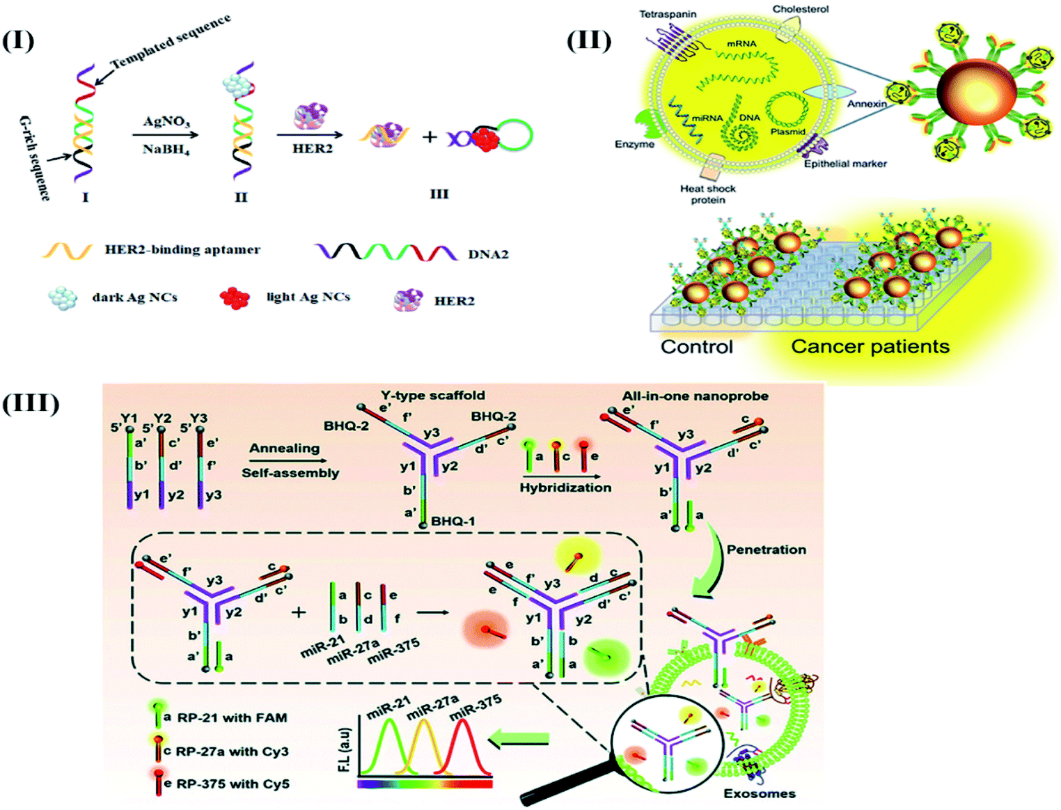 Recent advances in biosensing approaches for point-of-care breast ...