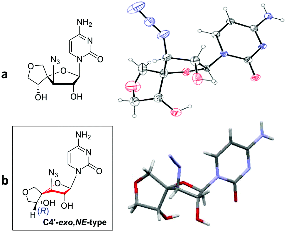 Chemo Enzymatic Access To C 4 Hydroxyl Tetrahydrofurano Spironucleosides New Journal Of Chemistry Rsc Publishing