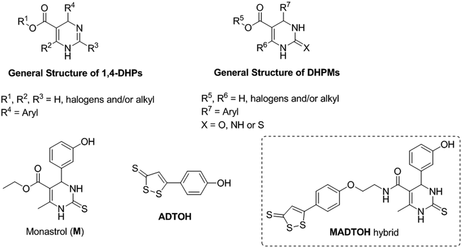 A Novel H2s Releasing Monastrol Hybrid Madtoh Inhibits L Type Calcium Channels New Journal Of Chemistry Rsc Publishing