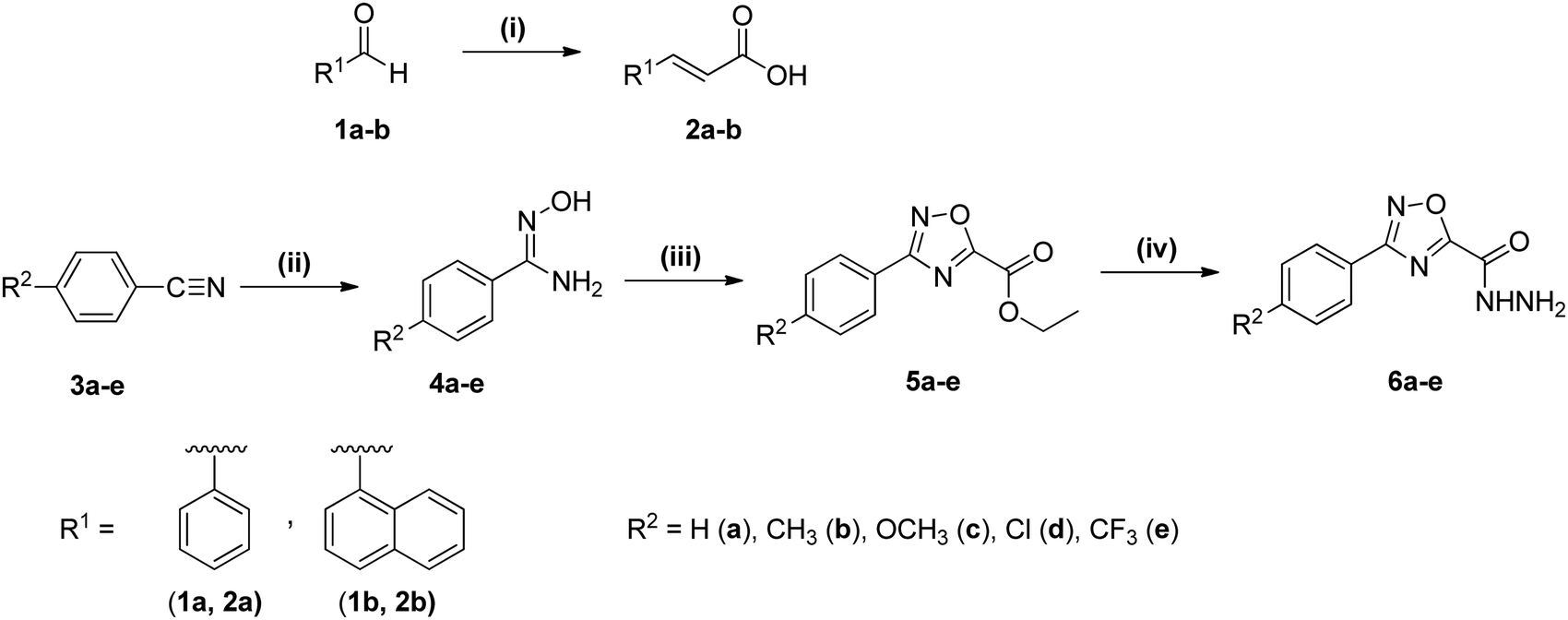 Synthesis Spectroscopic Characterization And Dna Hsa Binding Studies Of Phenyl Naphthyl Ethenyl Substituted 1 3 4 Oxadiazolyl 1 2 4 Oxadiazoles New Journal Of Chemistry Rsc Publishing