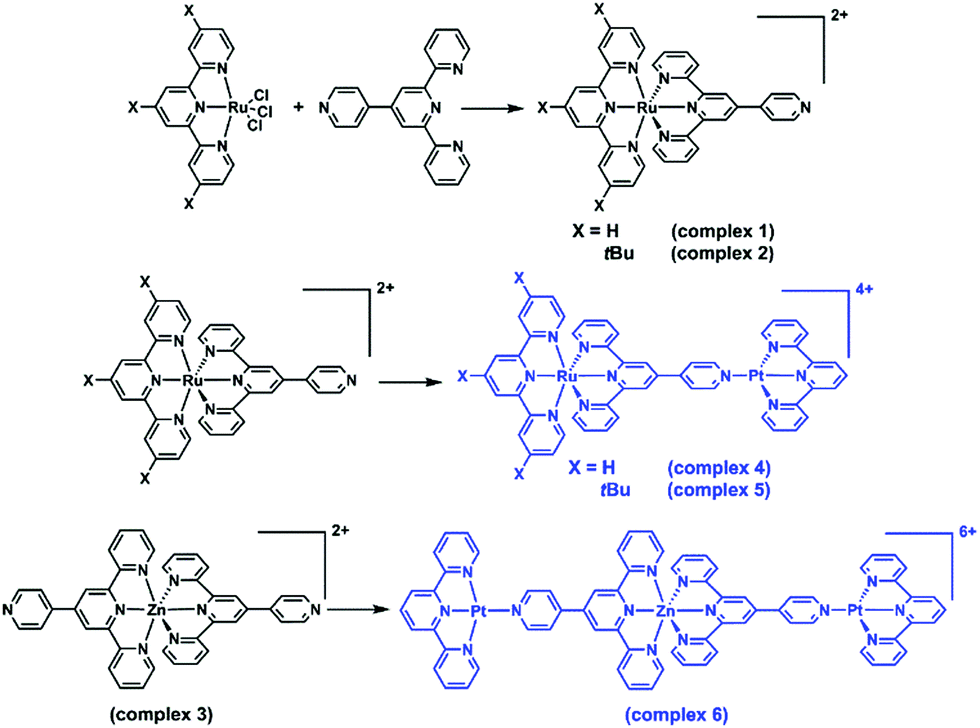 Self Assembled Heterometallic Complexes Showing Enhanced Two Photon Absorption And Their Distribution In Living Cells New Journal Of Chemistry Rsc Publishing