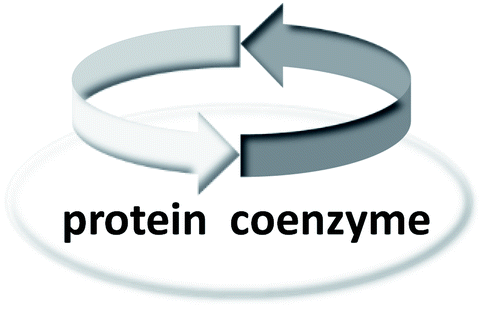 The coenzyme/protein pair and the molecular evolution of life - Natural ...