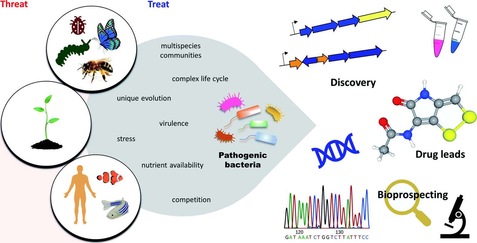 are-all-bacteria-pathogenic-what-is-the-difference-between-pathogens