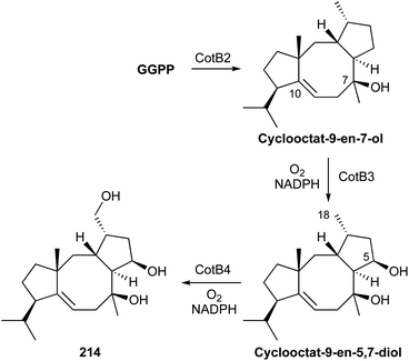 Bacterial Terpenome Natural Product Reports Rsc Publishing