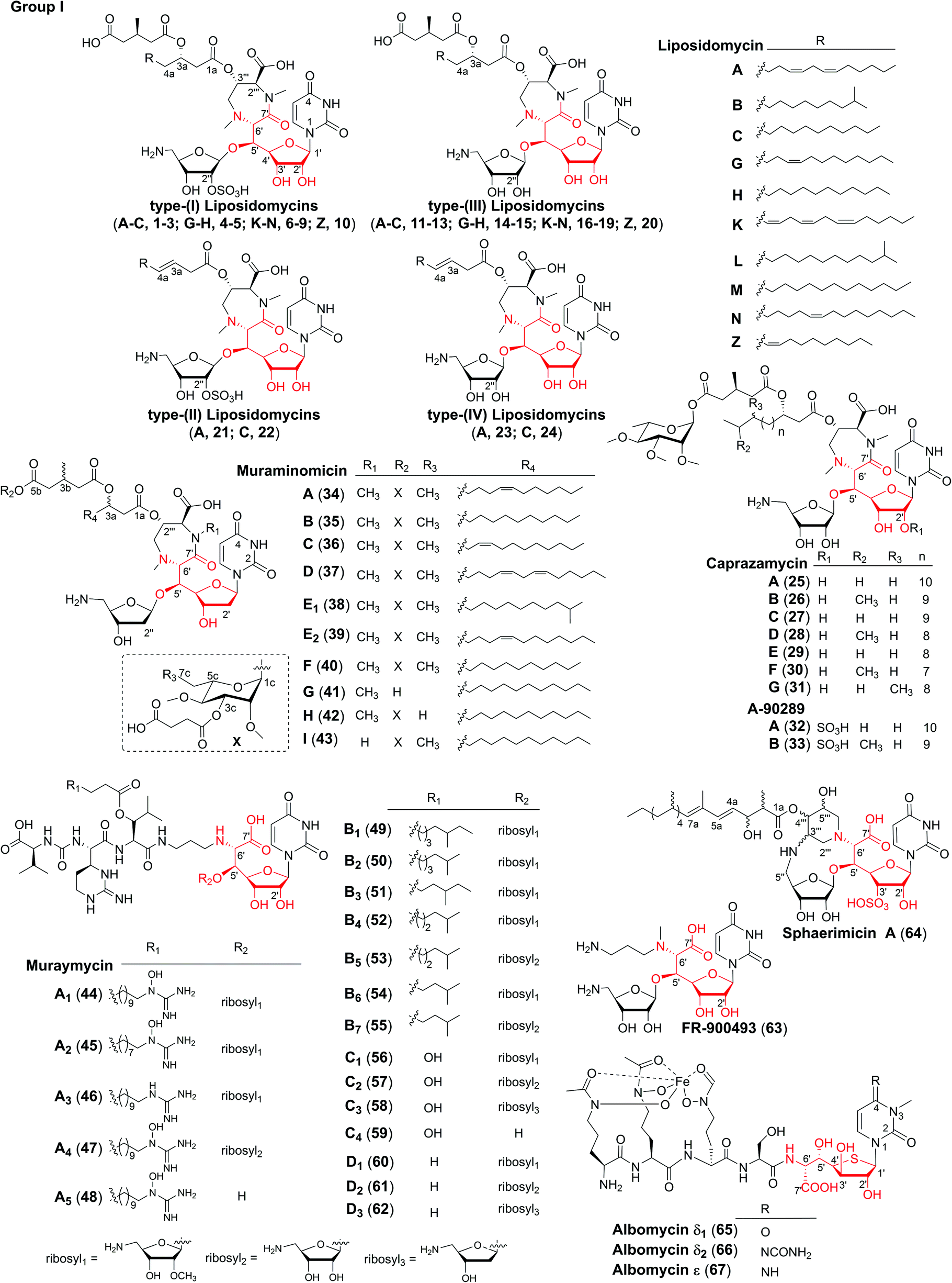 Heptose Containing Bacterial Natural Products Structures Bioactivities And Biosyntheses Natural Product Reports Rsc Publishing