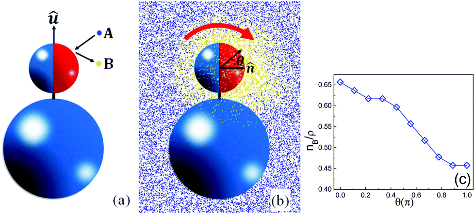 The Dynamics And Self Assembly Of Chemically Self Propelled Sphere Dimers Nanoscale Rsc Publishing