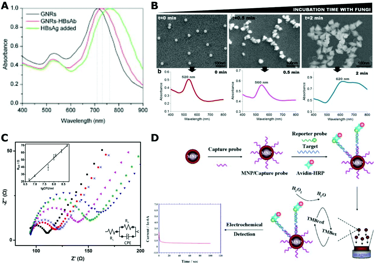 Plasmonic Nano Antimicrobials Properties Mechanisms And Applications In Microbe Inactivation And Sensing Nanoscale Rsc Publishing