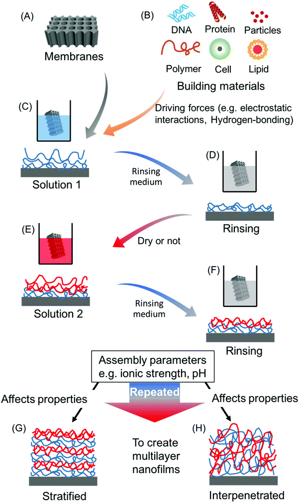Layer By Layer Assembly In Nanochannels Assembly Mechanism And Applications Nanoscale Rsc Publishing
