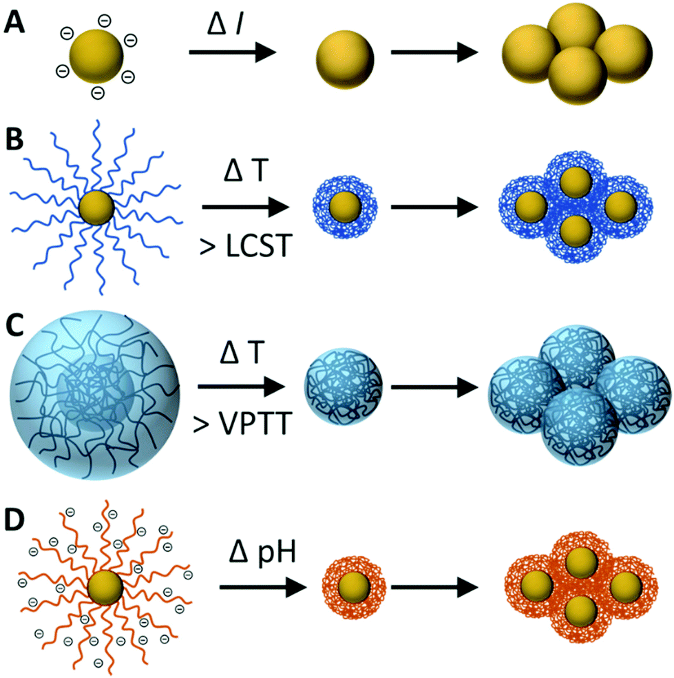 Multi-stimuli-responsive Aggregation Of Nanoparticles Driven By The ...