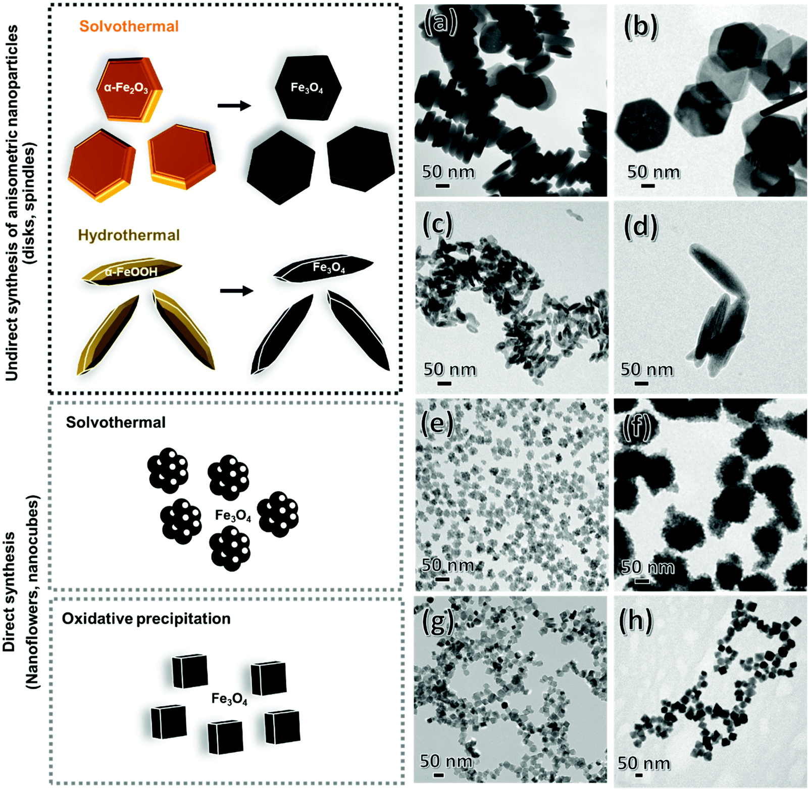 How size, shape and assembly of nanoparticles give rise to