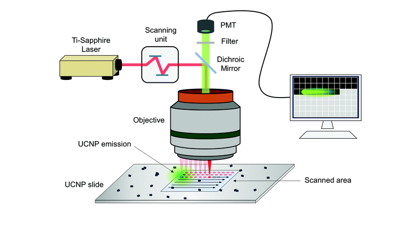 Correction: NIR laser scanning microscopy for photophysical ...