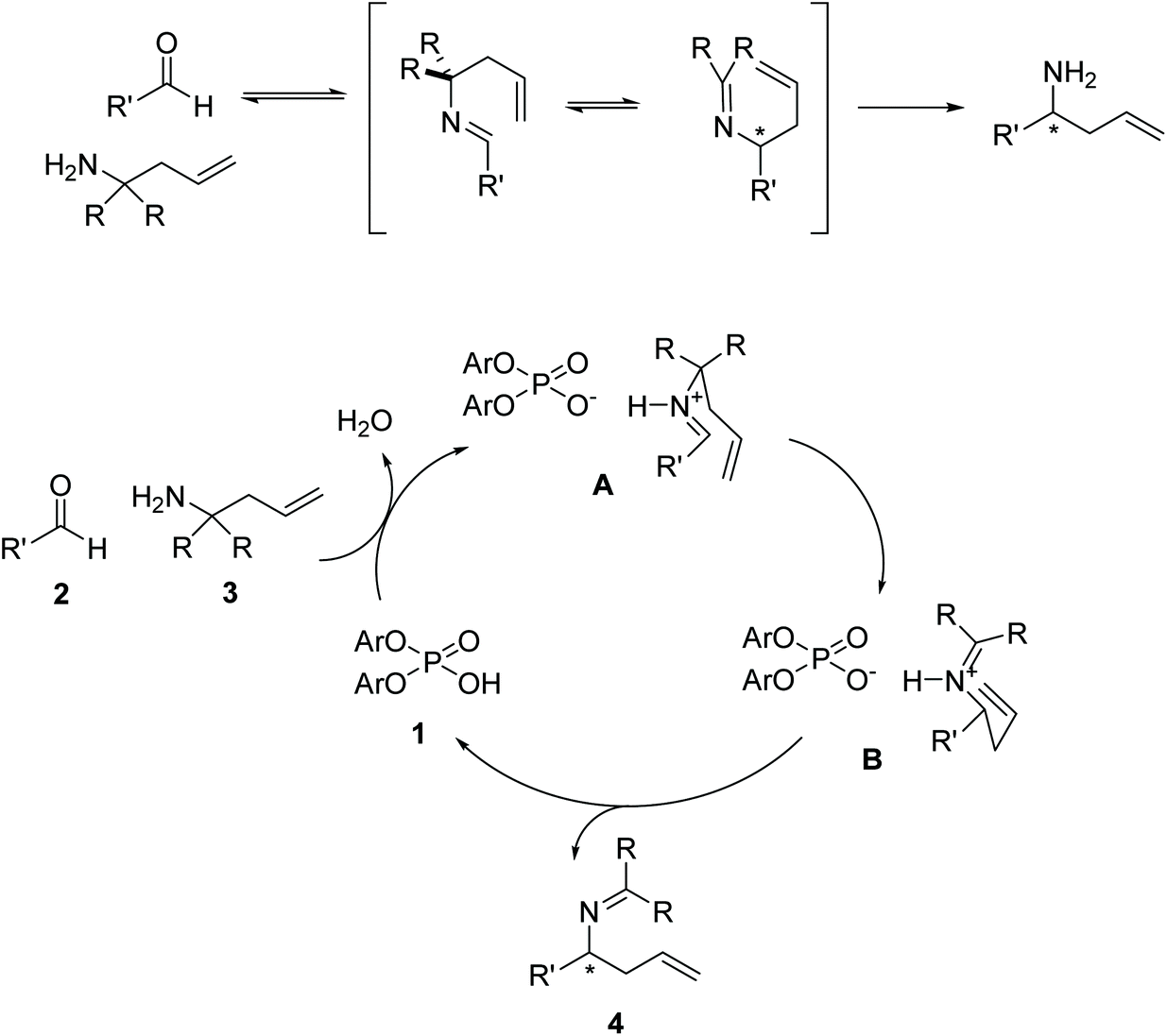 Understanding the mechanism of the chiral phosphoric acid-catalyzed aza ...