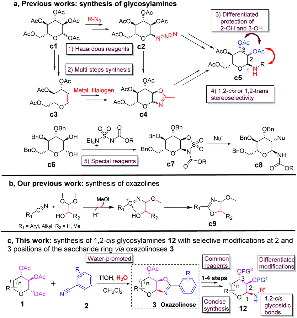 One Step Stereoselective Synthesis Of Oxazoline Fused Saccharides And Their Conversion Into The Corresponding 1 2 Cis Glycosylamines Bearing Various Protected Groups Organic Biomolecular Chemistry Rsc Publishing