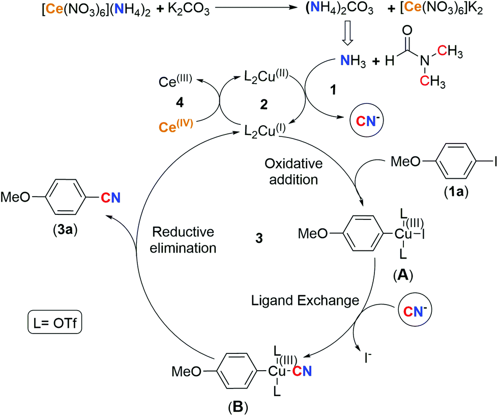 Revisiting The Synthesis Of Aryl Nitriles A Pivotal Role Of Can Organic Biomolecular Chemistry Rsc Publishing