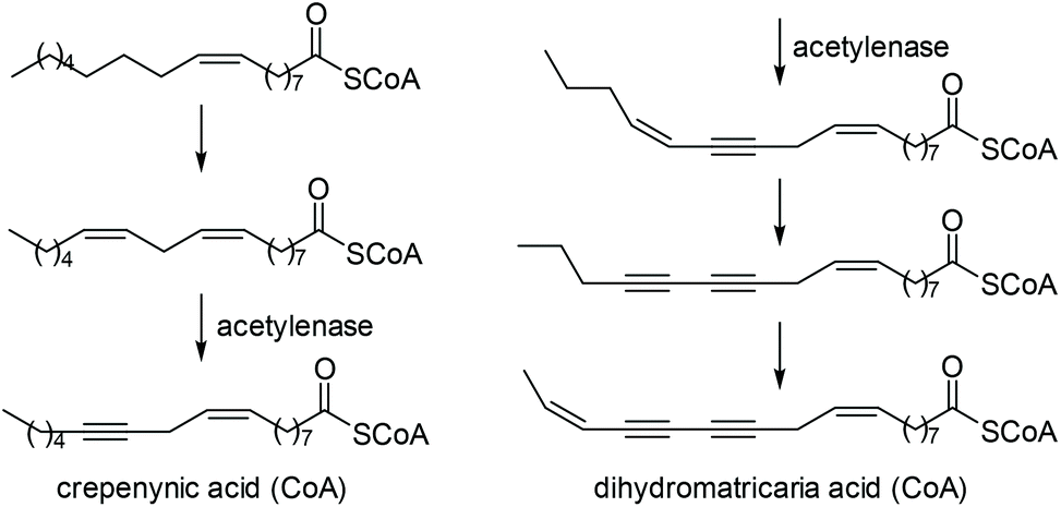 Nonbiomimetic Total Synthesis Of Indole Alkaloids Using Alkyne Based Strategies Organic Biomolecular Chemistry Rsc Publishing