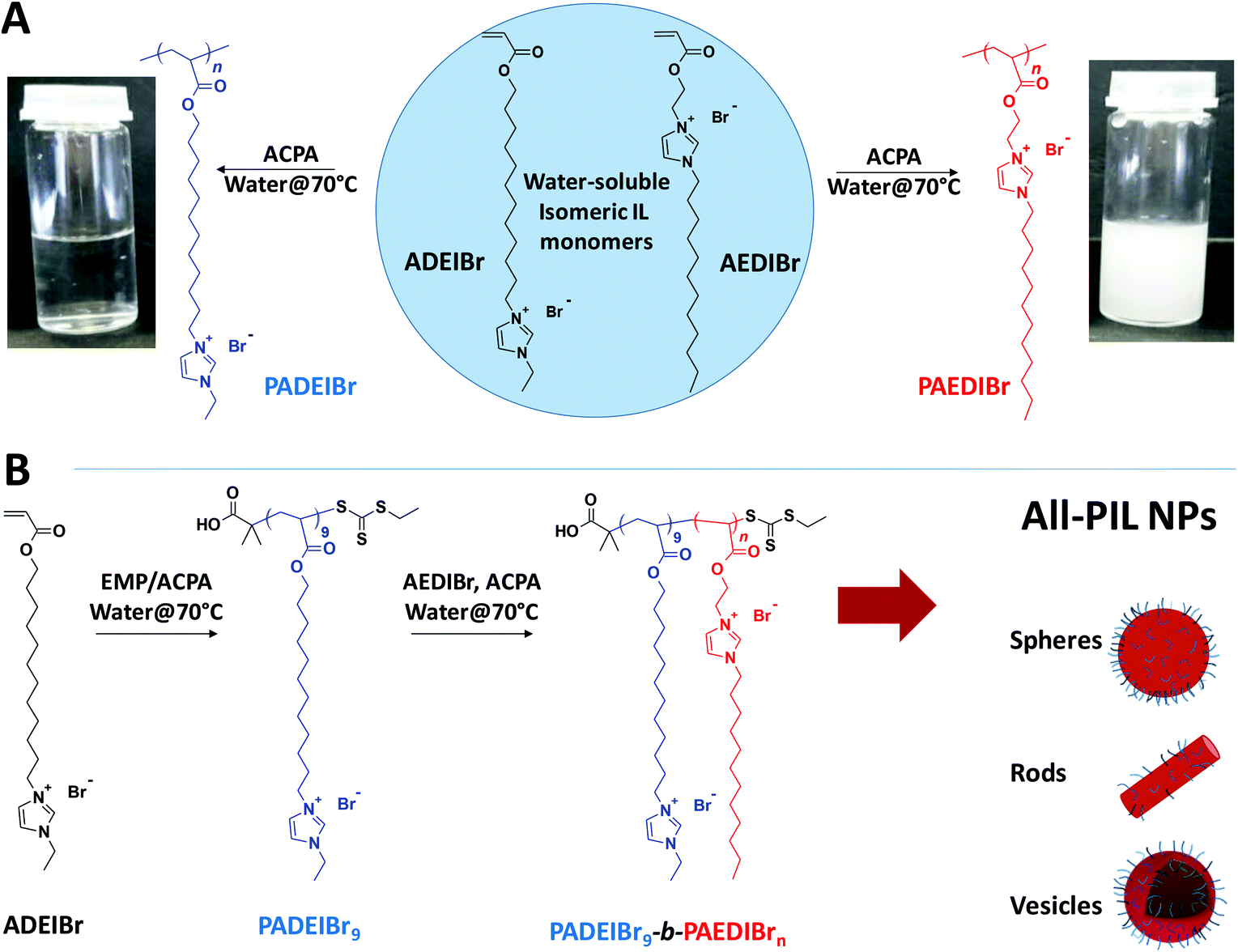 All Poly Ionic Liquid Block Copolymer Nanoparticles From Antagonistic Isomeric Macromolecular Blocks Via Aqueous Raft Polymerization Induced Self Assembly Polymer Chemistry Rsc Publishing