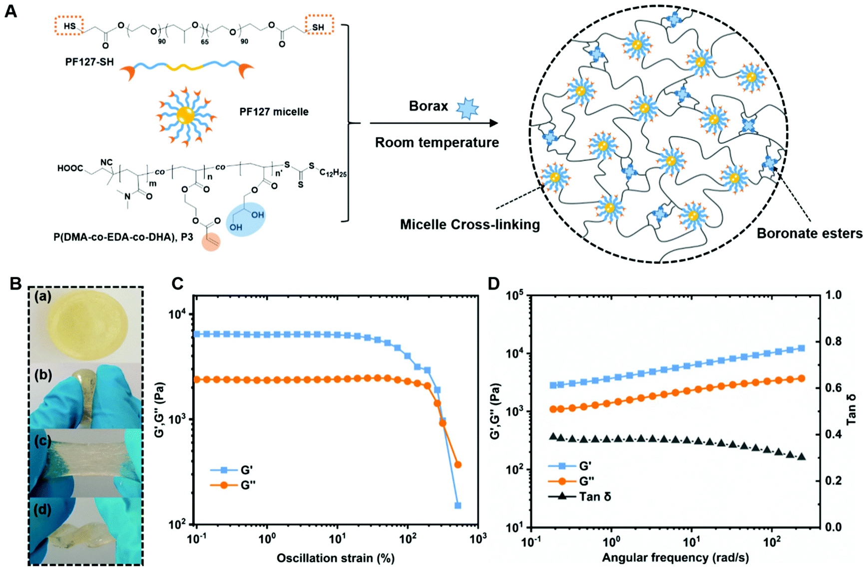 Dual-faced Borax Mediated Synthesis Of Self-healable Hydrogels Merging ...