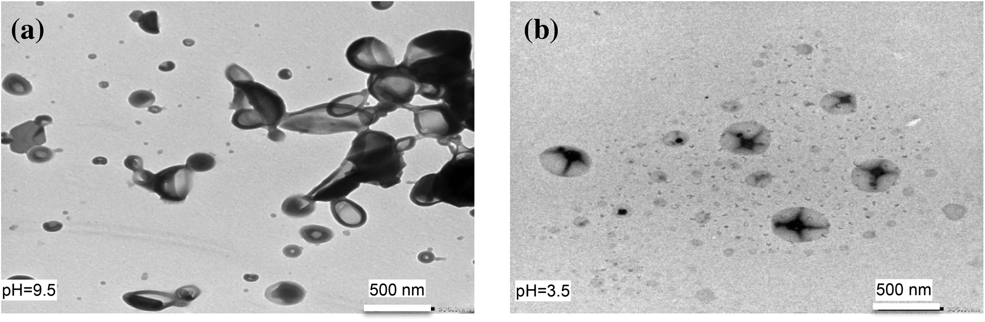 Synthesis Aqueous Solution Behavior And Self Assembly Of A Dual Ph Thermo Responsive Fluorinated Diblock Terpolymer Polymer Chemistry Rsc Publishing