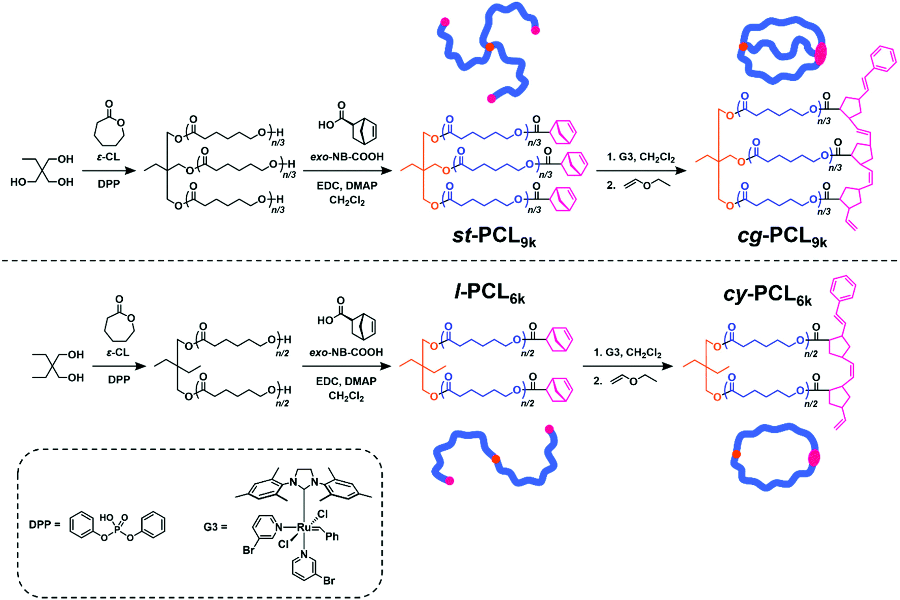 Topologically Controlled Phase Transitions And Nanoscale Film Self Assemblies Of Cage Poly E Caprolactone And Its Counterparts Polymer Chemistry Rsc Publishing