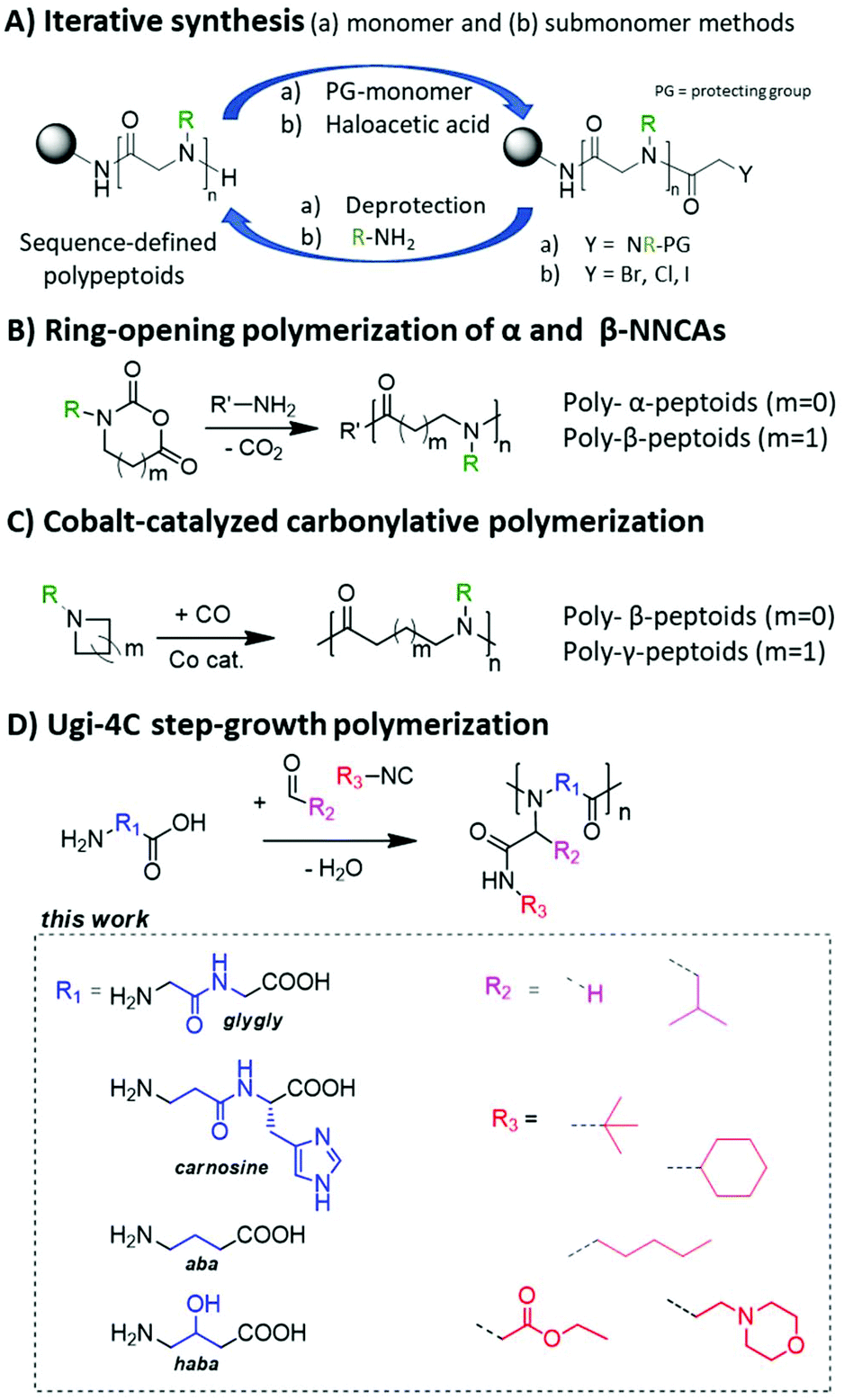 Ugi Four Component Polymerization Of Amino Acid Derivatives A Combinatorial Tool For The Design Of Polypeptoids Polymer Chemistry Rsc Publishing