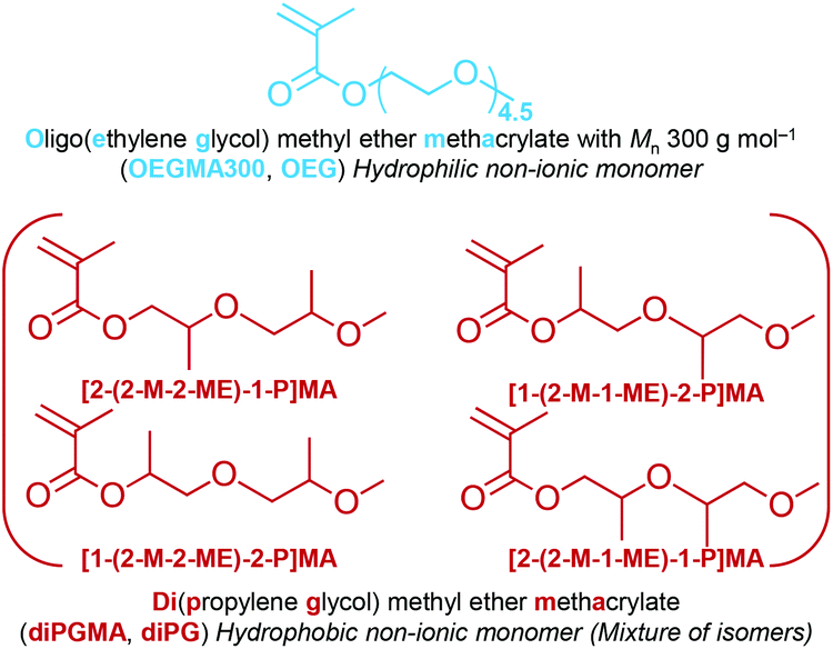 Homo and copolymerisation of di(propylene glycol) methyl ether methacrylate a new monomer