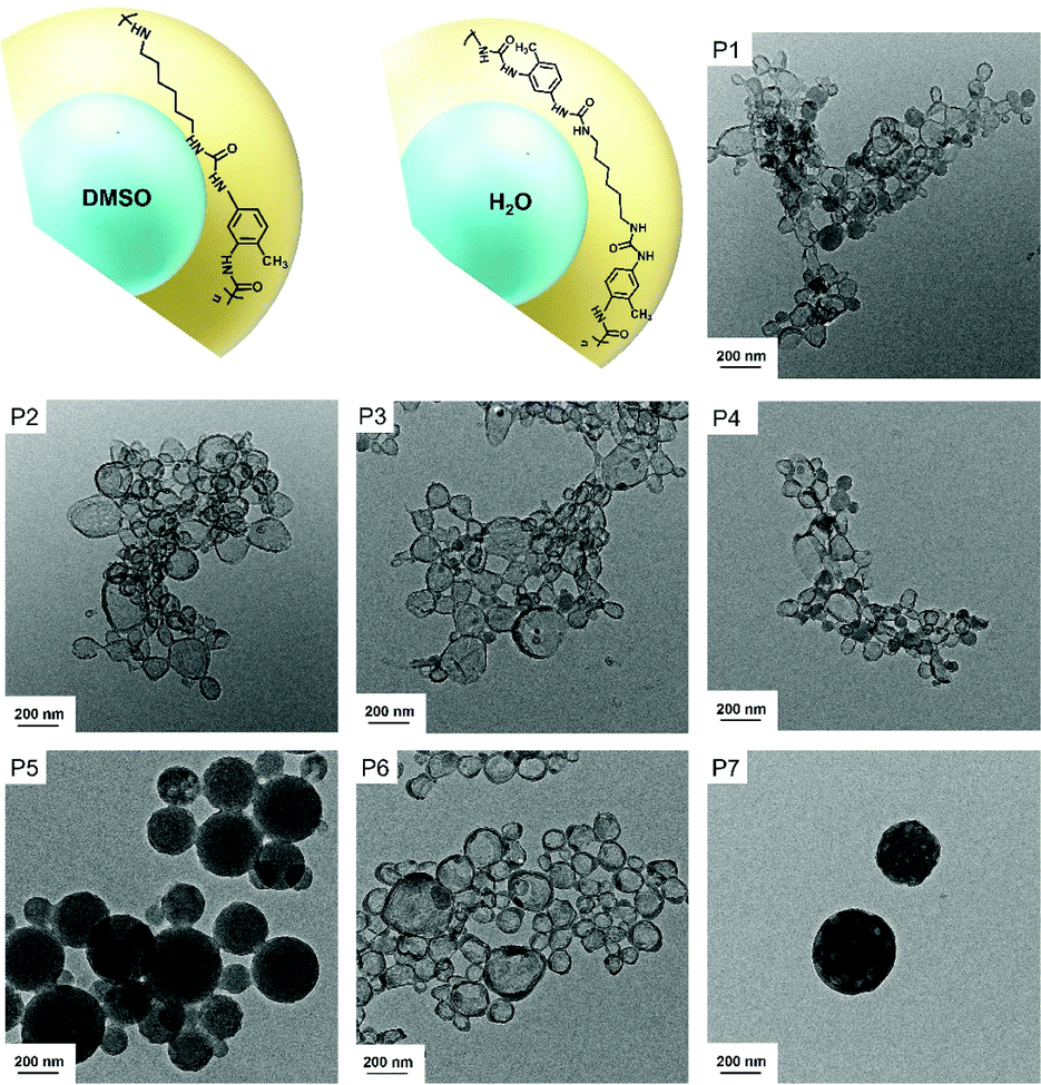 Shining a new light on the structure of polyurea/polyurethane materials