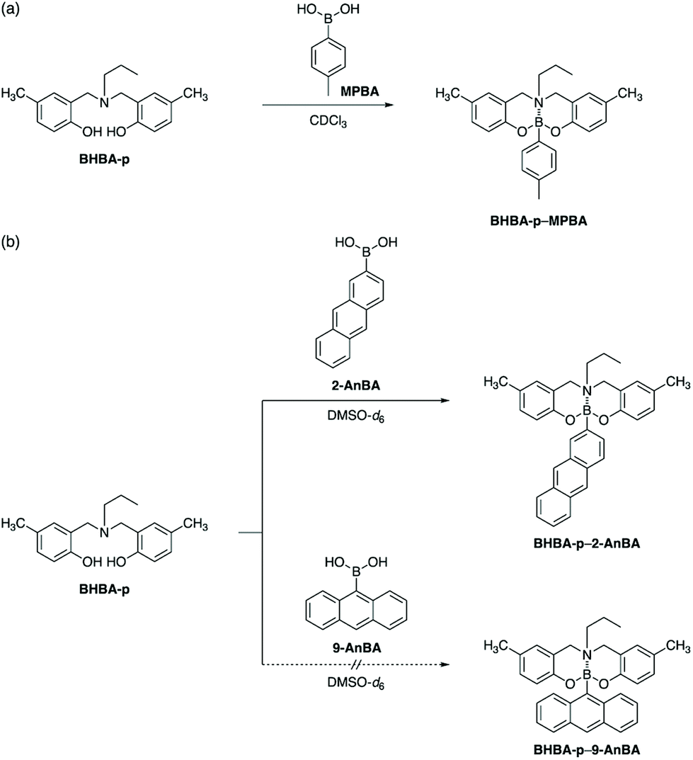 Post Polymerization Modification Of Polybenzoxazines With Boronic Acids Supported By B N Interactions Polymer Chemistry Rsc Publishing