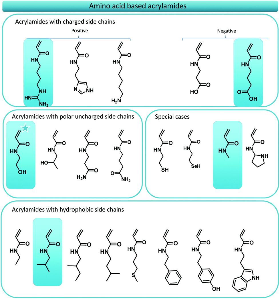 Amino acid acrylamide mimics creation of a consistent monomer library