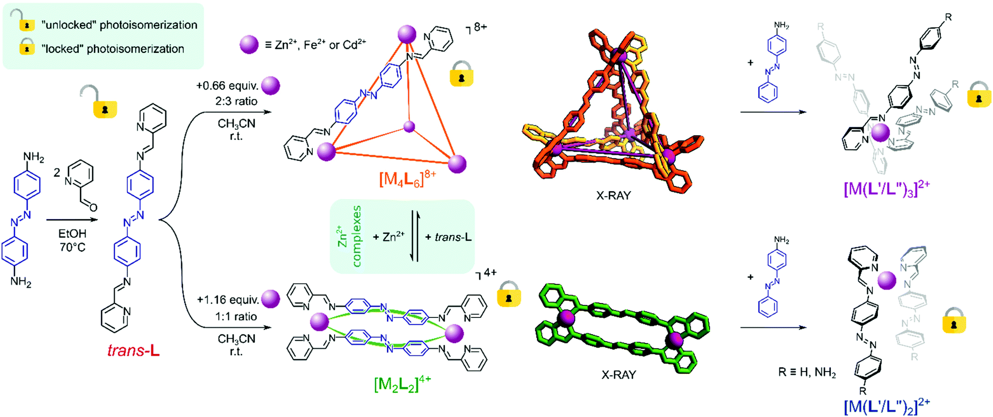 Gating the photoactivity of azobenzene-type ligands trapped within a ...