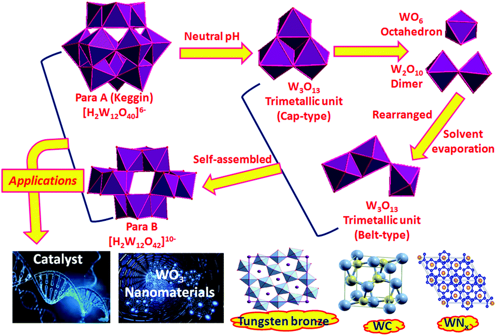 A Rational Assembly Of Paradodecatungstate Anions From Clusters To Morphology Controlled Nanomaterials Materials Chemistry Frontiers Rsc Publishing