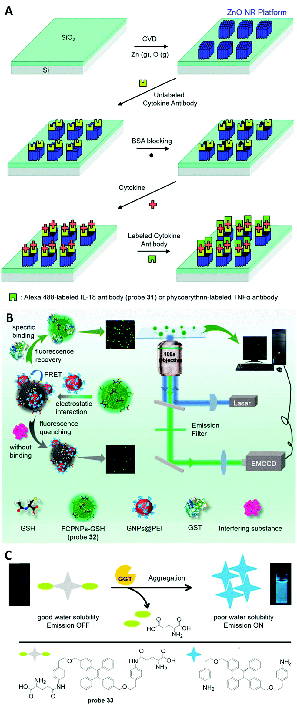 Detection Of Kidney Disease Biomarkers Based On Fluorescence Technology Materials Chemistry Frontiers Rsc Publishing