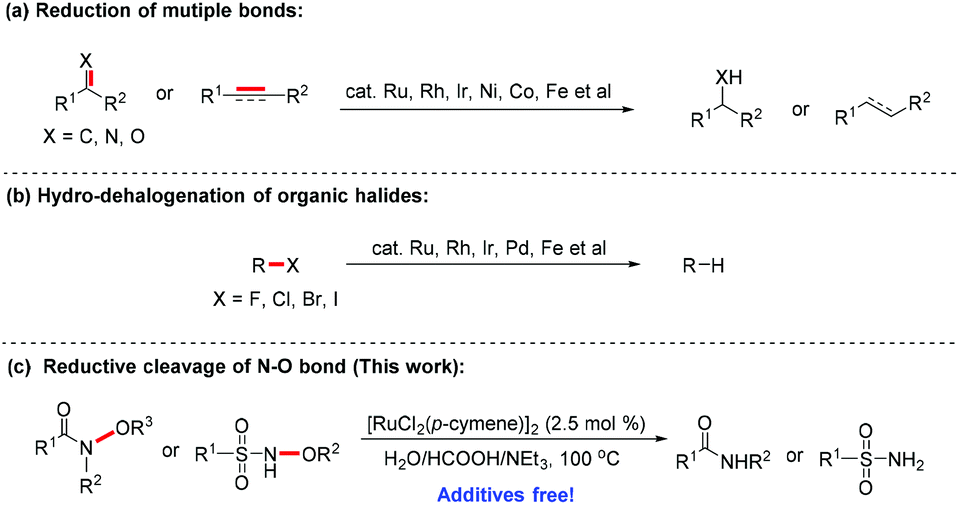 Ruthenium Ii Catalyzed Reductive N O Bond Cleavage Of N Or R H Alkyl Or Acyl Substituted Amides And Sulfonamides Organic Chemistry Frontiers Rsc Publishing