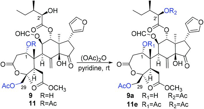 Diverse Prieurianin Type Limonoids With Oxygen Bridged Caged Skeletons From Two Aphanamixis Species Discovery And Biomimetic Conversion Organic Chemistry Frontiers Rsc Publishing