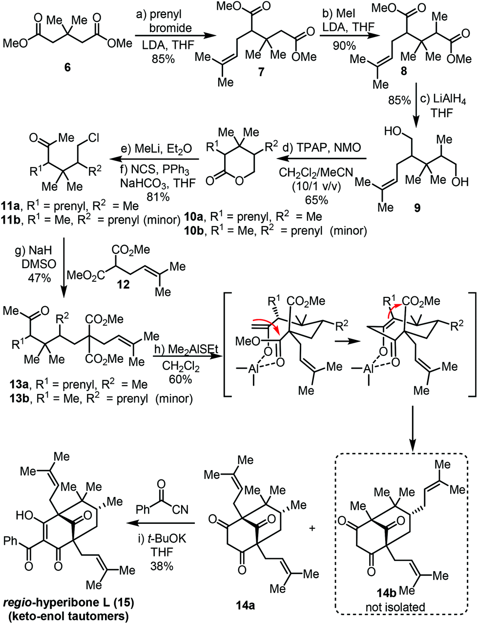Strategies Towards Endo Type B Polycyclic Polyprenylated Acylphloroglucinols Total Synthesis Of Regio Hyperibone L And Epi Clusianone Organic Chemistry Frontiers Rsc Publishing