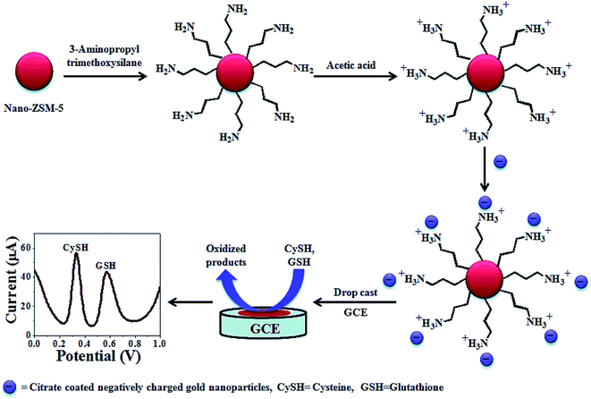 Recent Developments In Voltammetric And Amperometric Sensors For 