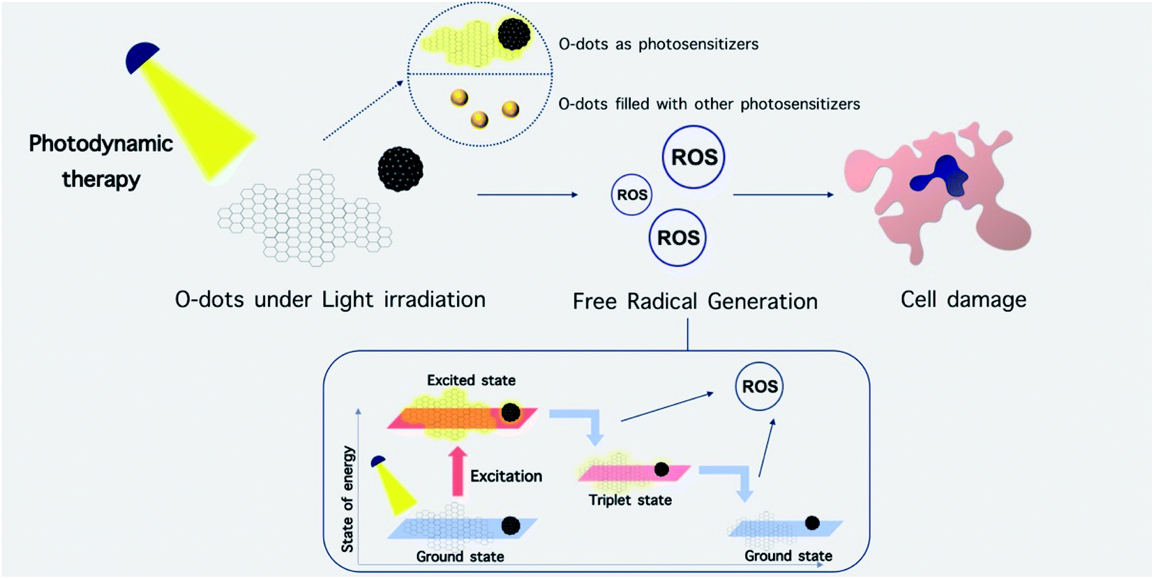 Organic Dots O Dots For Theranostic Applications Preparation And Surface Engineering Rsc Advances Rsc Publishing