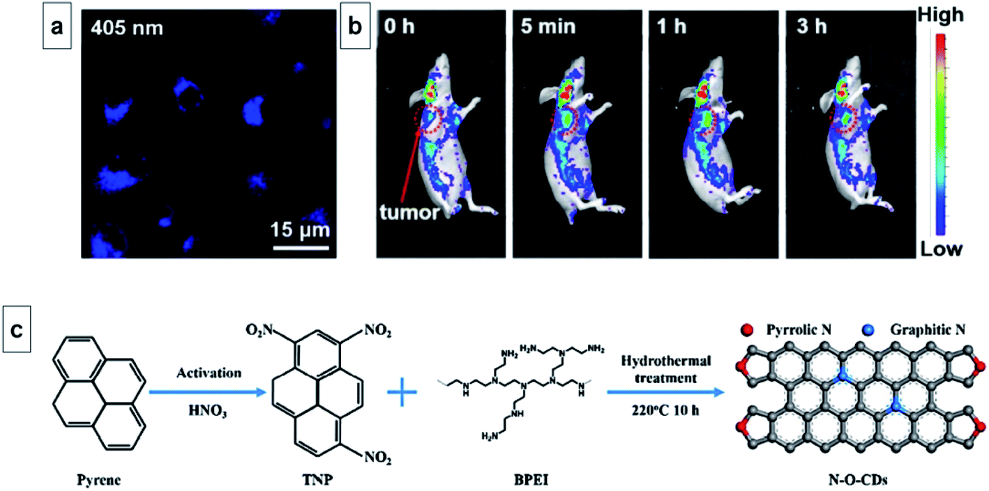 Organic Dots O Dots For Theranostic Applications Preparation And Surface Engineering Rsc Advances Rsc Publishing