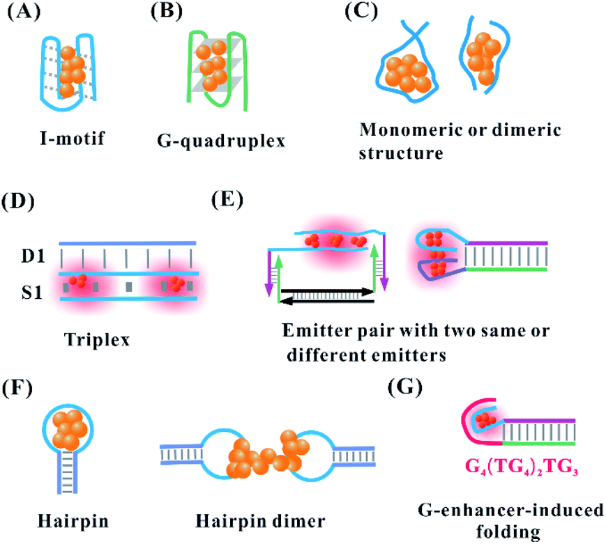 The Spatial Organization Of Trace Silver Atoms On A Dna Template Rsc Advances Rsc Publishing